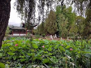 KUNMING - Parc Daguan - 65